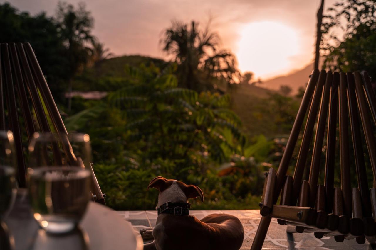 The Valley Tayrona Hostel- A Unique Social Jungle Hostel El Zaino Zewnętrze zdjęcie