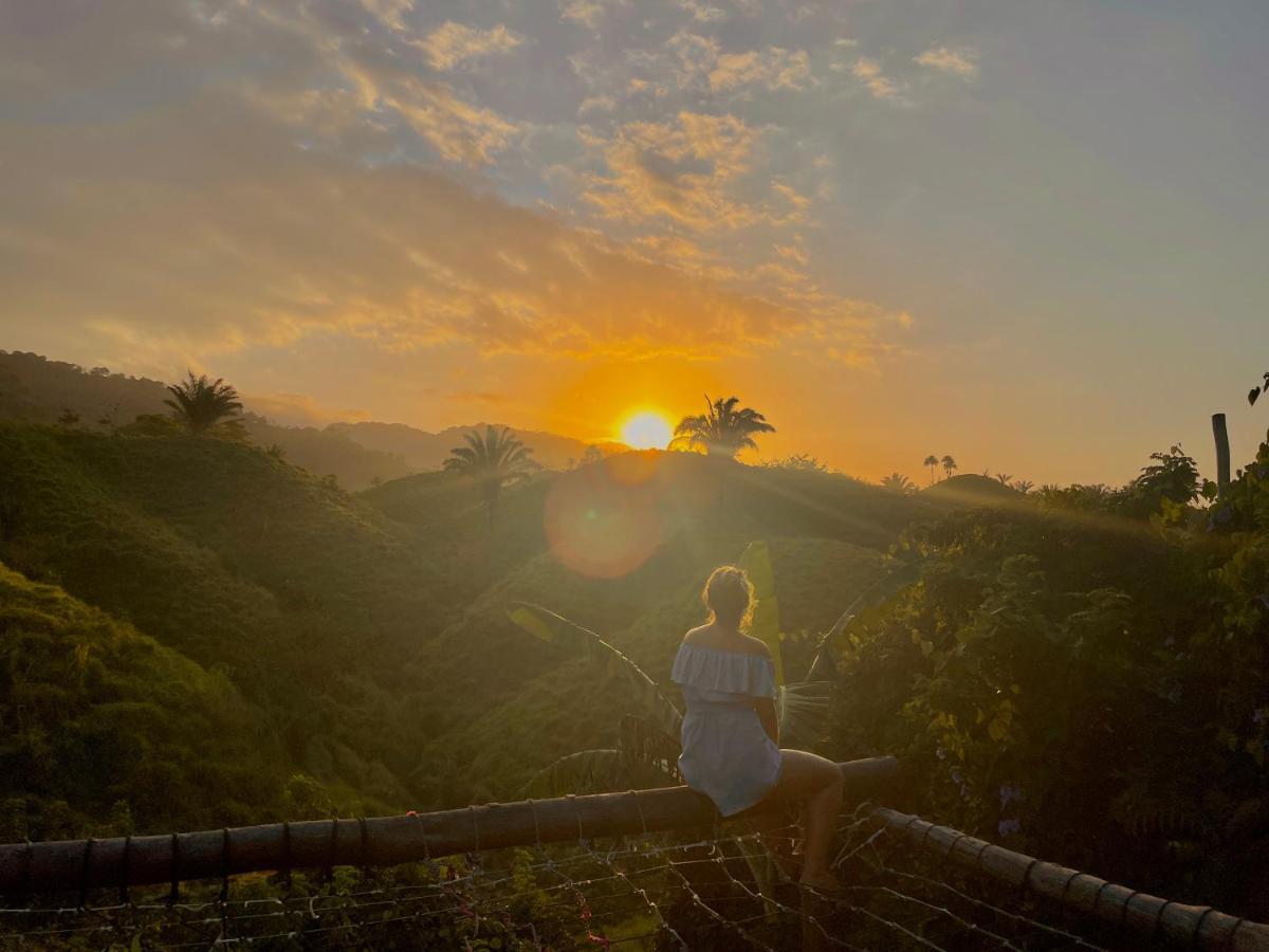 The Valley Tayrona Hostel- A Unique Social Jungle Hostel El Zaino Zewnętrze zdjęcie